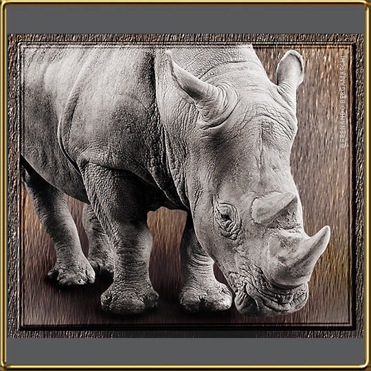 efeito digital em foto de Rinoceronte