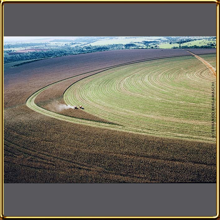 Aerial photo corn harvest Araguari, Minas Gerais